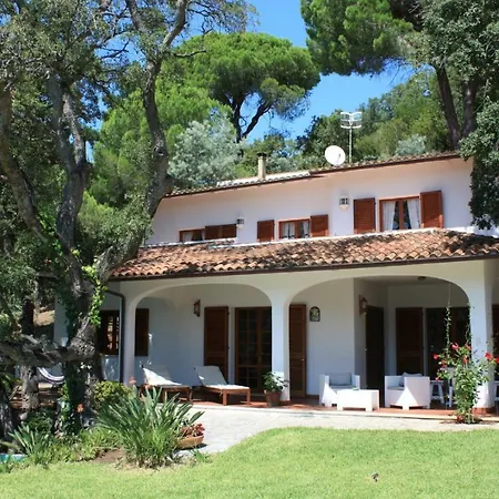 Giovanna Villa *