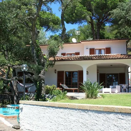 Giovanna Villa *